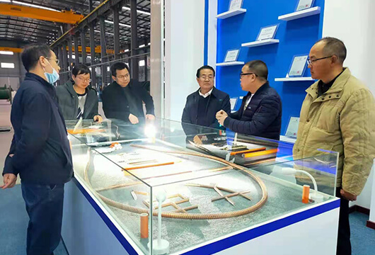 荊門市經(jīng)信局劉德舜局長(zhǎng)來(lái)公司考察調(diào)研